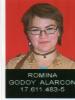 Curriculum de ROMINA  CAROLINA GODOY ALARCON