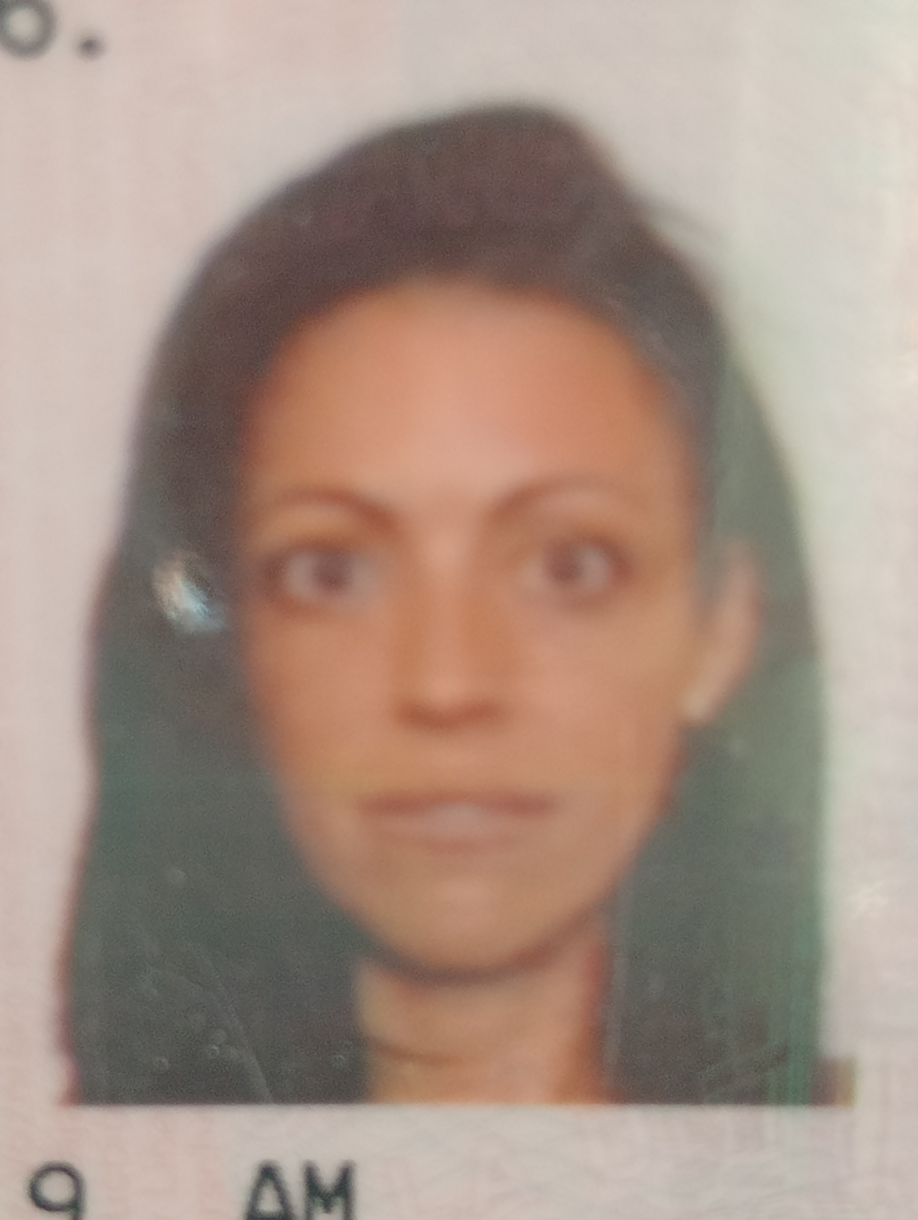 Curriculum de Tamara Villalobos Molina