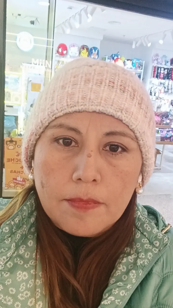 Curriculum de Karen johanna �ahui Medina