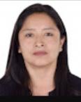 Curriculum de enma santillan veastegui
