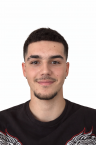 Curriculum de Gabriel Darius Dedea