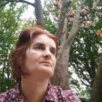 Curriculum de Florentina Negurita