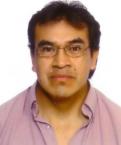 Curriculum de Nelson Pasaca Guartán