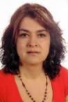Curriculum de luz elena marin leon