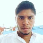 Curriculum de Raúl De los santos Martinez