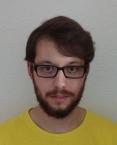 Curriculum de David Díaz-maroto García