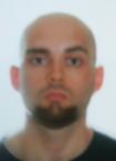 Curriculum de Alejandro Hernández Miras