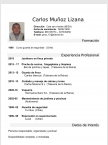 Curriculum de Carlos muoz