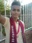 Curriculum de Luis Gerardo Palma Prin